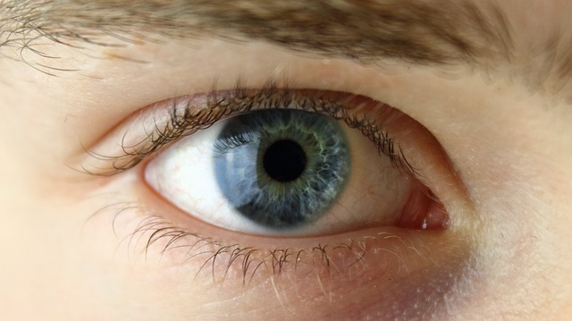 Close-up of an eye – eye contact makes videos convincing